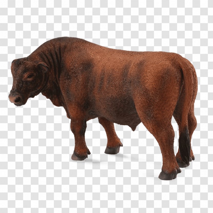 Angus Cattle Red Brahman Hereford Collecta Bull - Spain Transparent PNG