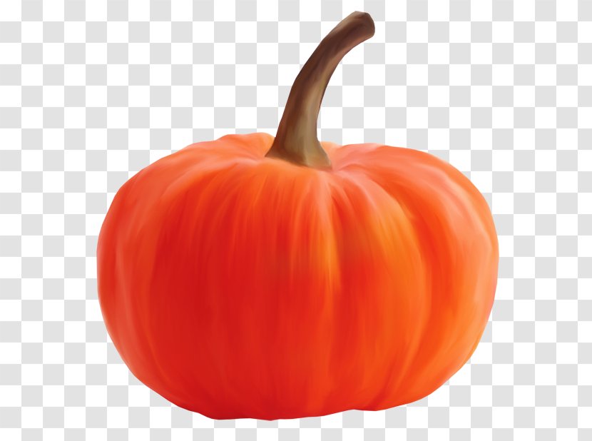Pumpkin Calabaza Winter Squash Gourd Bell Pepper - Potato And Tomato Genus Transparent PNG