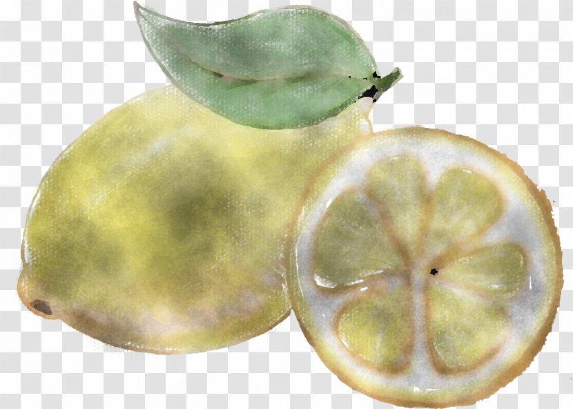 Fruit Lemon Citrus Plant Food Transparent PNG