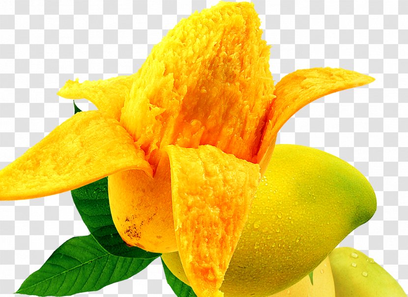 Mango Food Auglis Fruit - Peel Transparent PNG