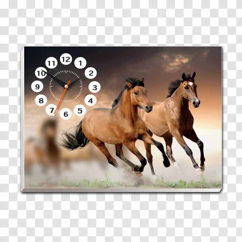 Horse Stallion Desktop Wallpaper - Stroke Line Transparent PNG