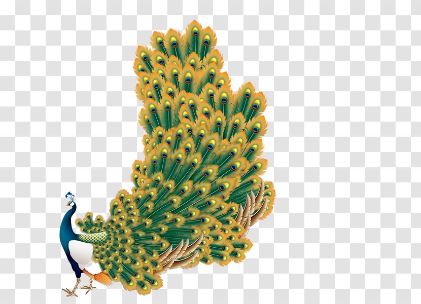 Template - Tree - Peacock Transparent PNG