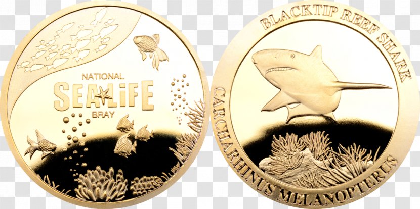 National Treasure Coin Maritime Museum Commemorative Silver - Currency Transparent PNG