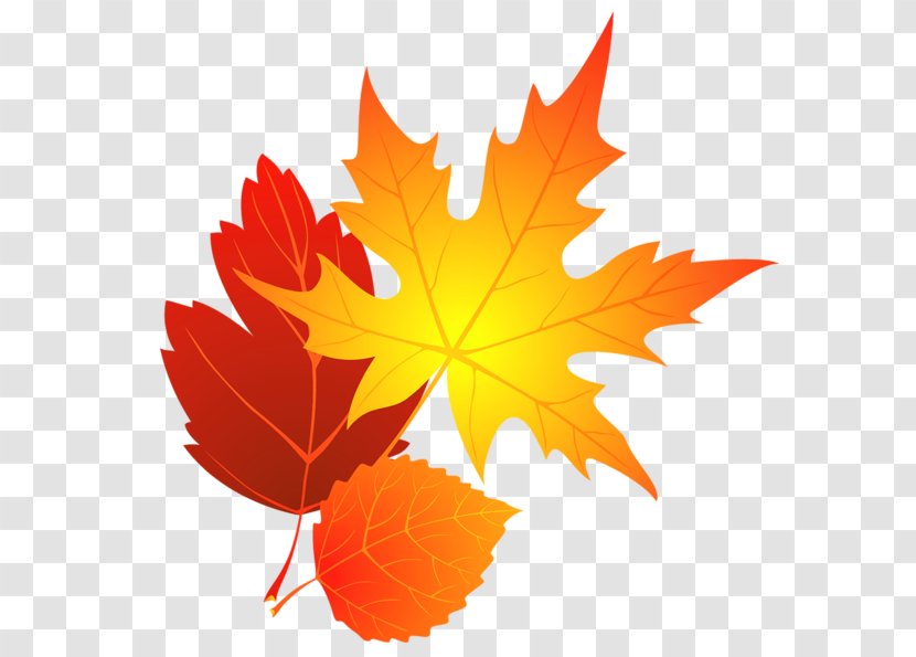 Autumn Leaf Color Maple Clip Art - Tree - Leaves Cliparts Transparent PNG