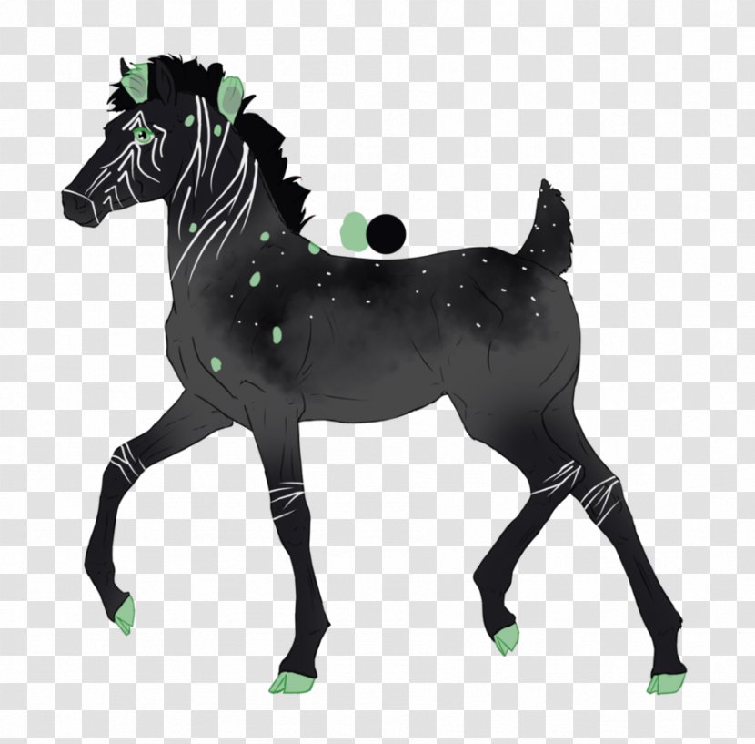 Stallion Mustang Foal Mare Colt - Pack Animal Transparent PNG