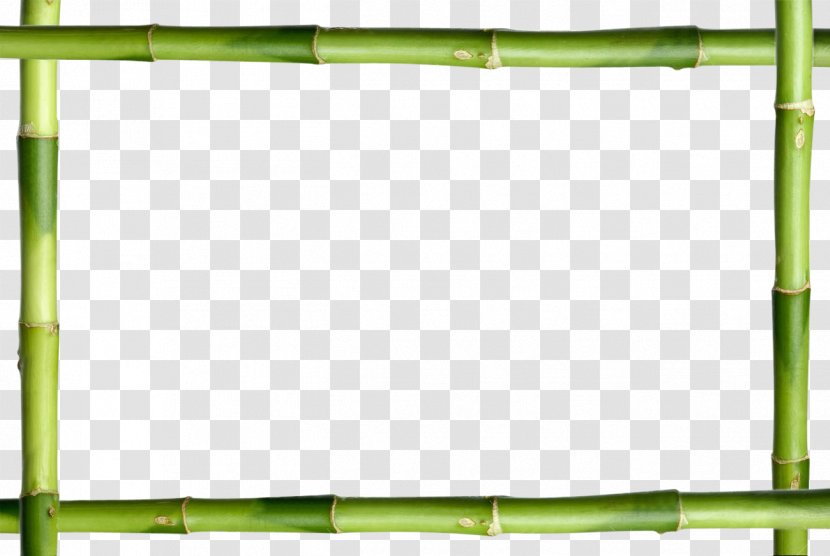 Picture Frames Lucky Bamboo Stock Photography Decorative Arts - Green Transparent PNG