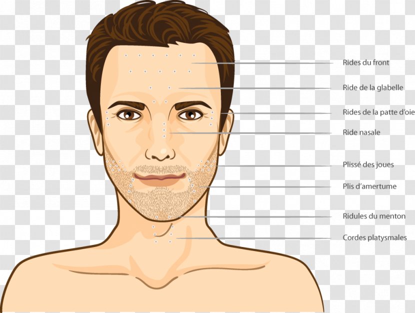 Ear Face Forehead Wrinkle Botulinum Toxin - Heart Transparent PNG