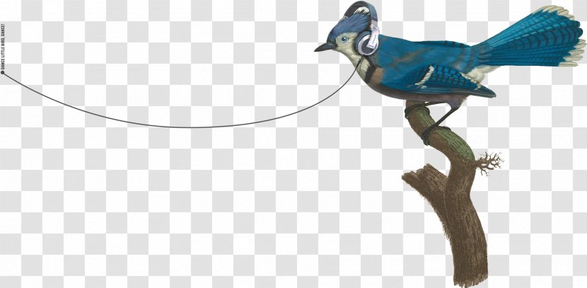Blue Jay Bird Beak - Tree Transparent PNG