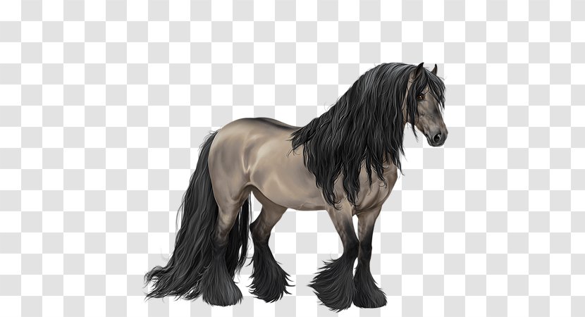 Gypsy Horse Mane Mustang Stallion Pony - Flower Transparent PNG