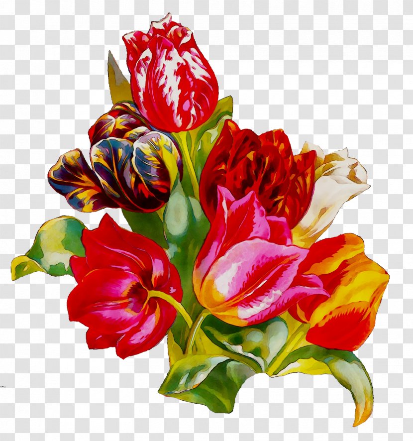 Tulip Floral Design Cut Flowers Clip Art - Gladiolus - Plant Transparent PNG