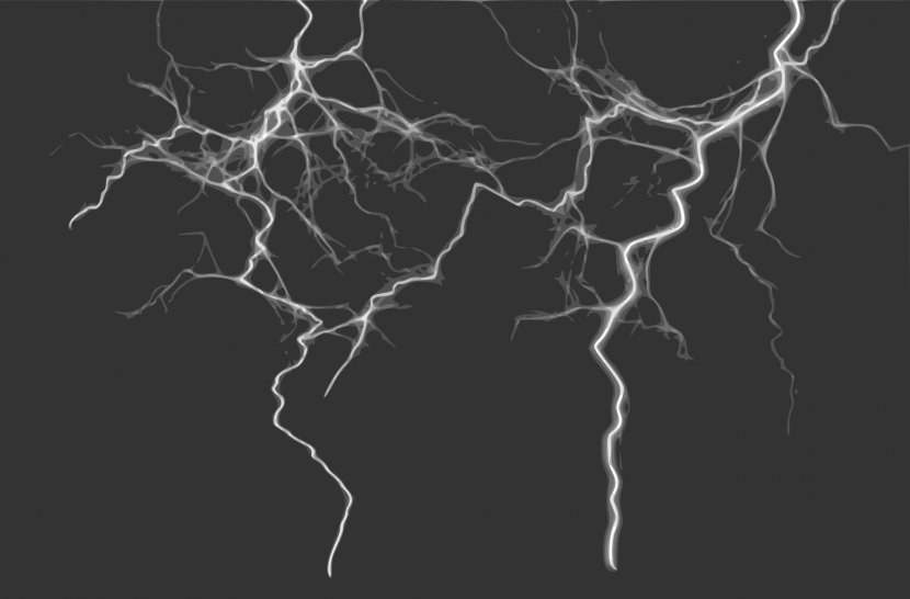 Lightning Thunderstorm Clip Art - Organism Transparent PNG