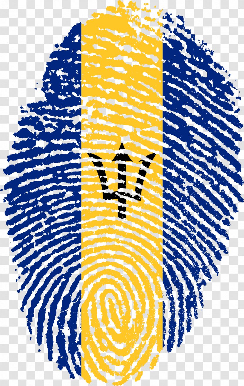 Flag Of Brazil Fingerprint - Tree - Finger Print Transparent PNG