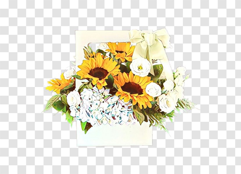 Floral Flower Background - Daisy Family Petal Transparent PNG