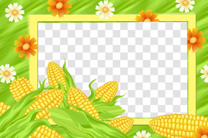 Picture Frames Maize Sweet Corn - Organism Transparent PNG