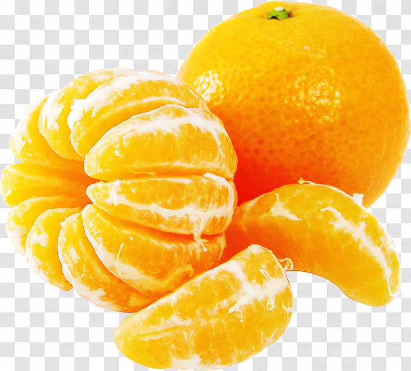 Orange Transparent PNG