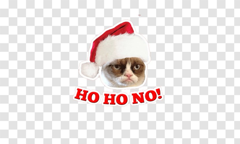 Grumpy Cat Whiskers Santa Claus Christmas Ornament Transparent PNG
