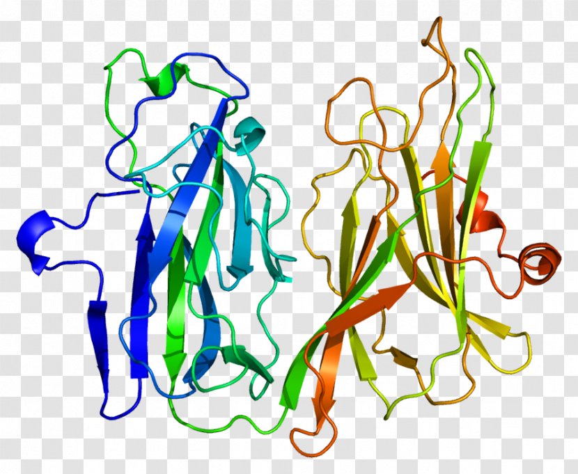 Peptidylglycine Alpha-amidating Monooxygenase Enzyme Protein - Silhouette - Tree Transparent PNG