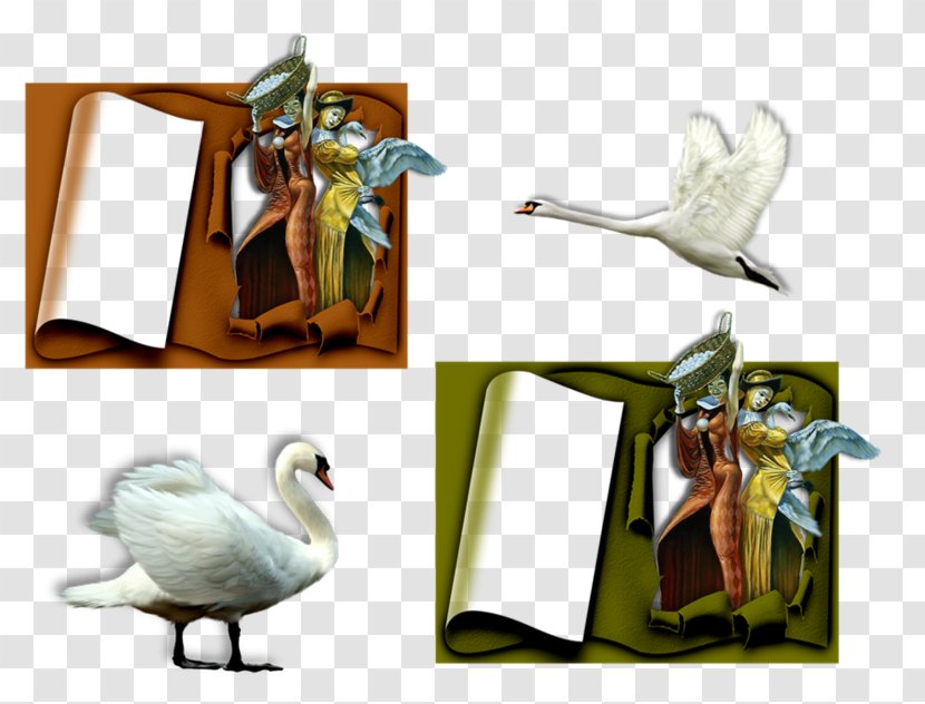 Beak Goose Cygnini Duck Bird Transparent PNG