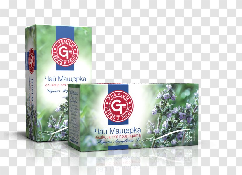 Green Tea Hibiscus Herbal Thyme Transparent PNG