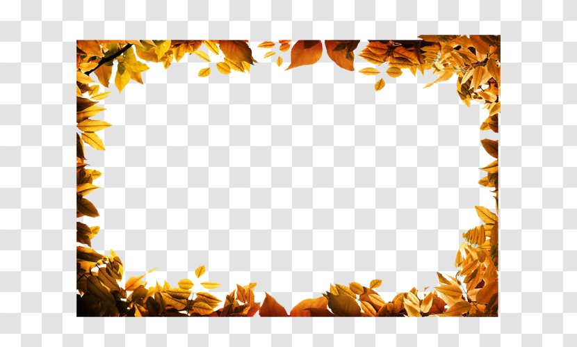 Autumn Leaf Color Clip Art - Orange - Gold Frame Video Transparent PNG
