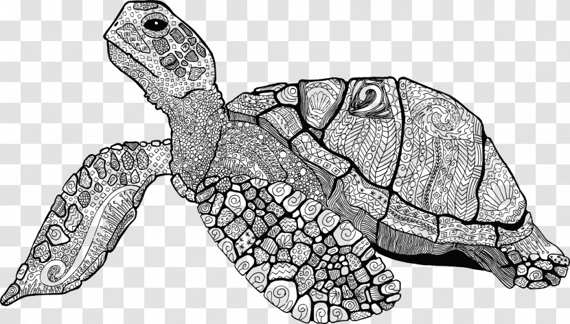 Sea Turtle Drawing Line Art Shell - Carapace Transparent PNG