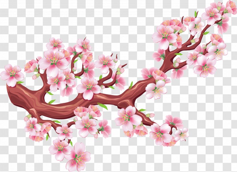 Cherry Blossom Drawing Illustration - Hand-painted Watercolor Transparent PNG