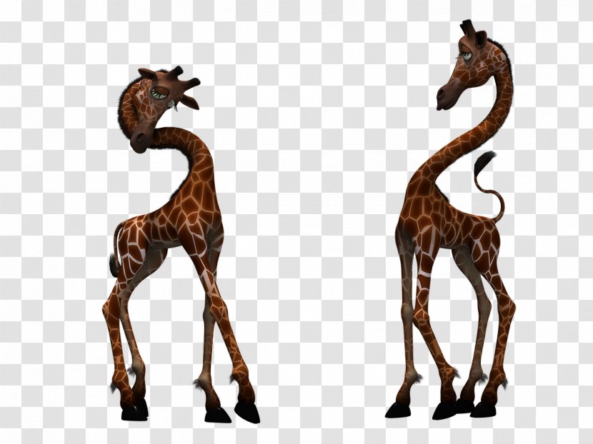 Northern Giraffe - Animal Figure Transparent PNG