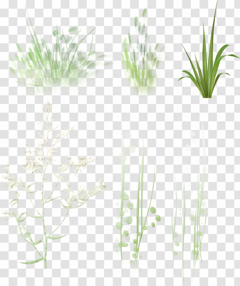 Megabyte Clip Art Plant Stem Herb - Flora Transparent PNG