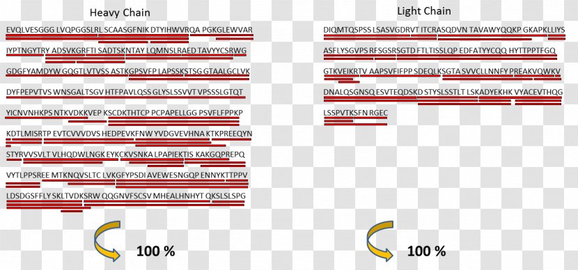 Web Page Brand Line - Diagram - Design Transparent PNG