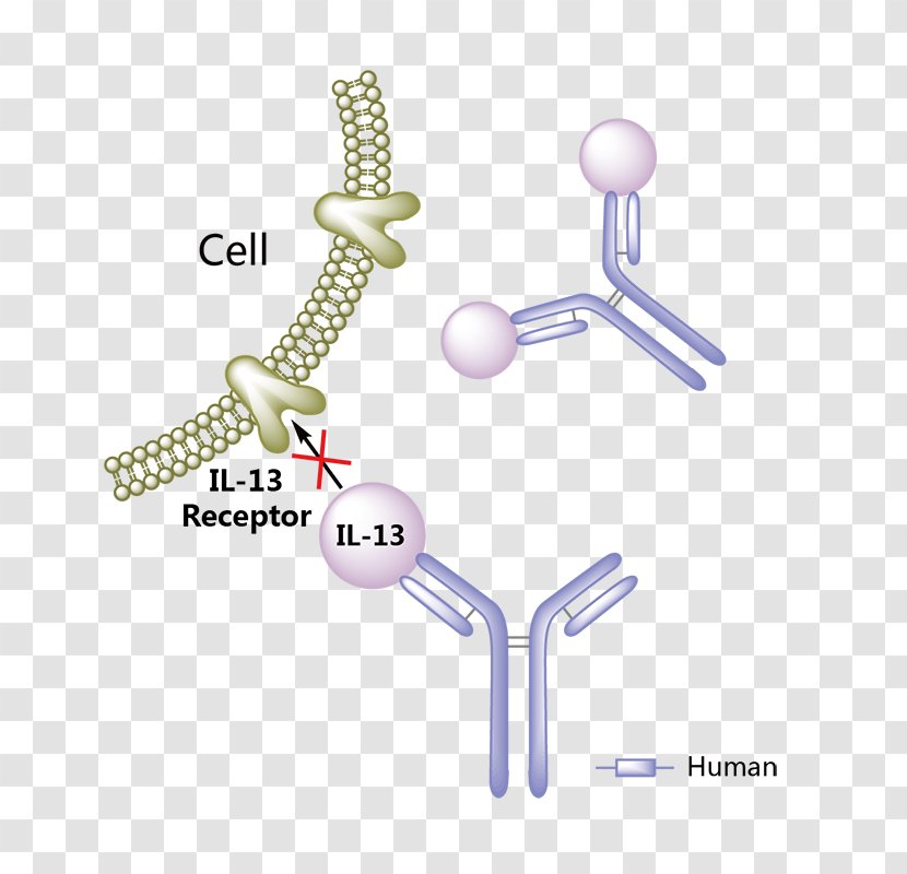 Bevacizumab Pharmaceutical Drug Adalimumab Monoclonal Antibody Therapy - Idiopathic Pulmonary Fibrosis Transparent PNG