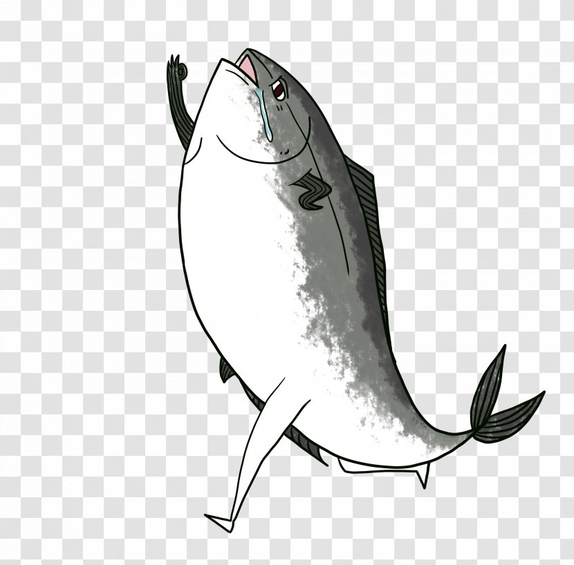 Illustration Marine Mammal Fish - Foolish Transparent PNG