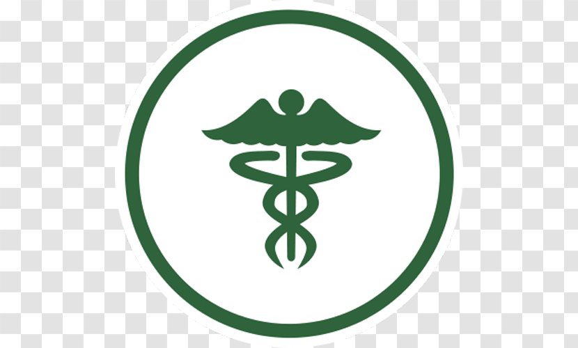 Health Care Public Policy Medicine - Leaf Transparent PNG