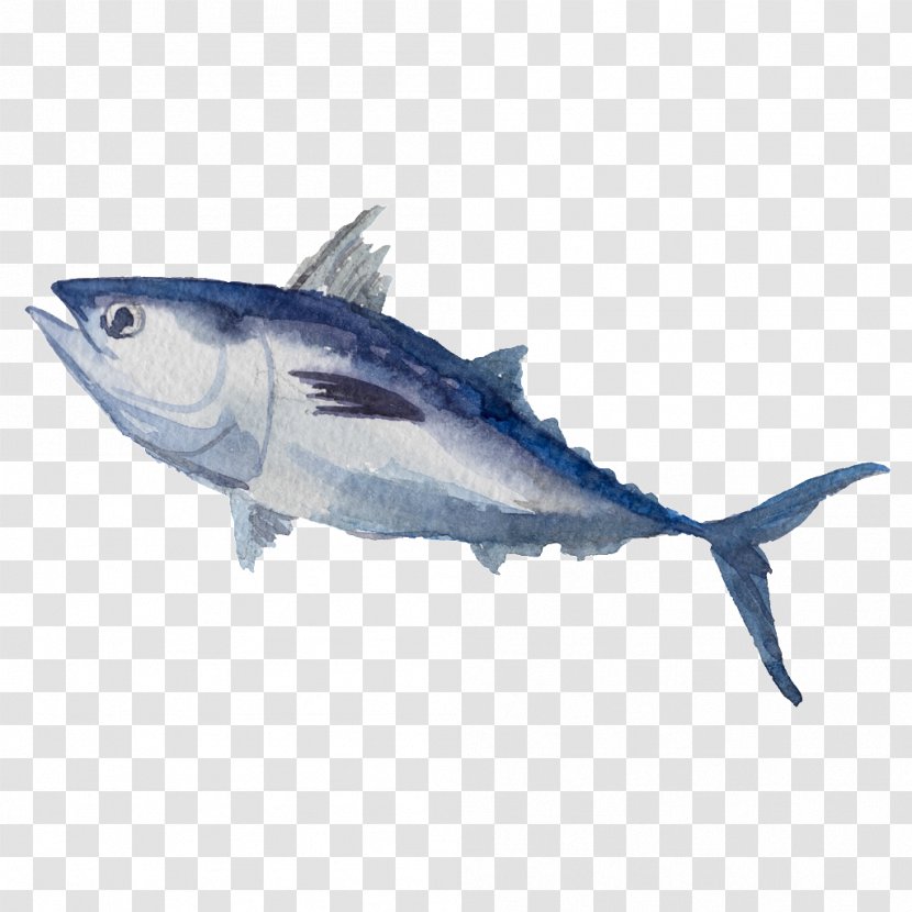 Watercolor Painting Illustration Stock Photography Royalty-free Drawing - Thunnus Transparent PNG