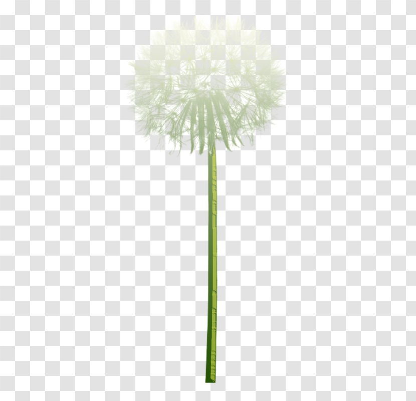 Common Dandelion Euclidean Vector Tooth - Vecteur - A Transparent PNG