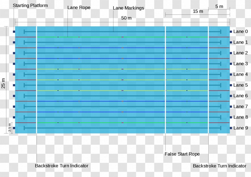 Olympic Games Swimming At The Summer Olympics Olympic-size Pool - Sport Transparent PNG