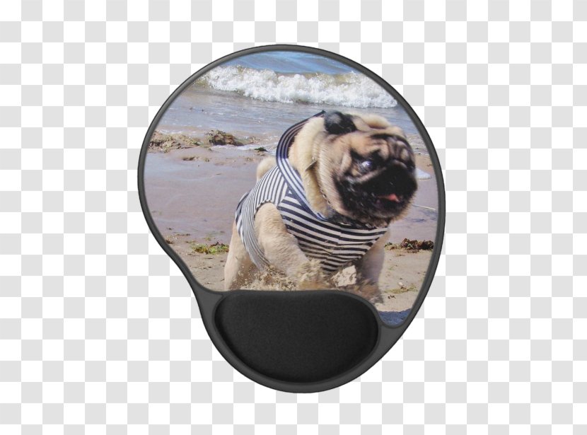 Pug Dog Breed Toy Snout - Watercolor Transparent PNG