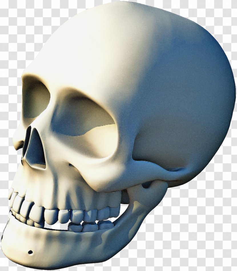 Bone Skull Helmet Head Jaw - Temple - Personal Protective Equipment Transparent PNG