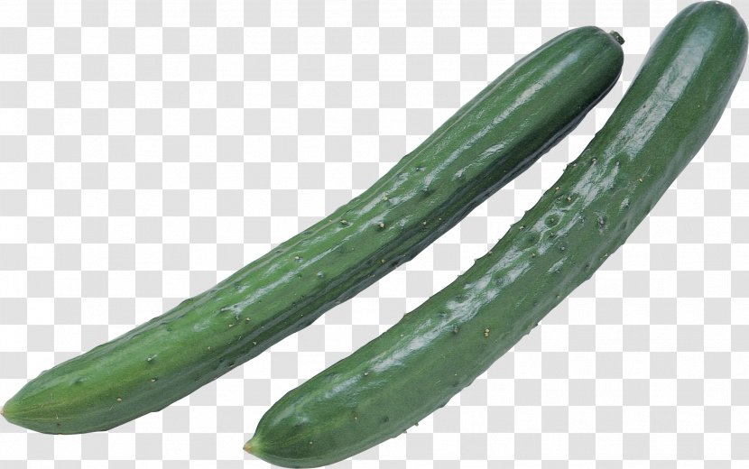 Pickled Cucumber Spreewald Gherkins Sandwich Vegetable - Summer Squash Transparent PNG