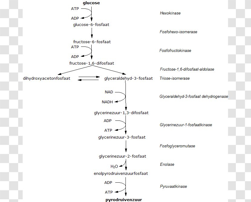 Line Angle Document - Text Transparent PNG