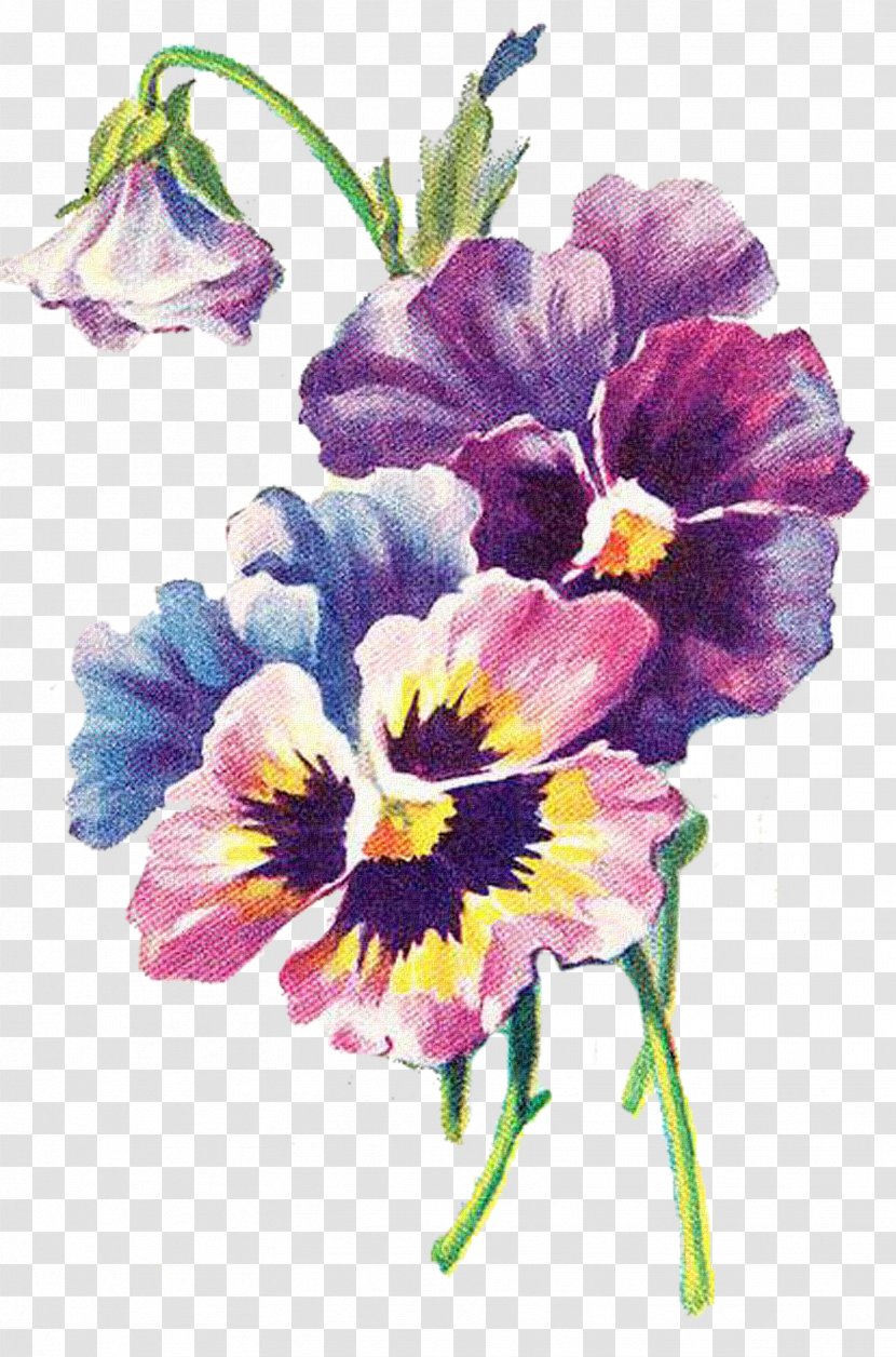 Floral Design Art Pansy Decoupage - Plant Transparent PNG