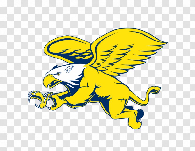 Canisius Golden Griffins Womens Basketball College Logo - Cartoon Flying Eagle Vector Transparent PNG