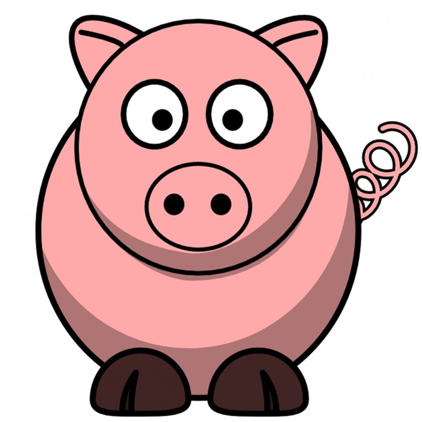 Domestic Pig Piglet Cartoon Clip Art - Drawing Transparent PNG