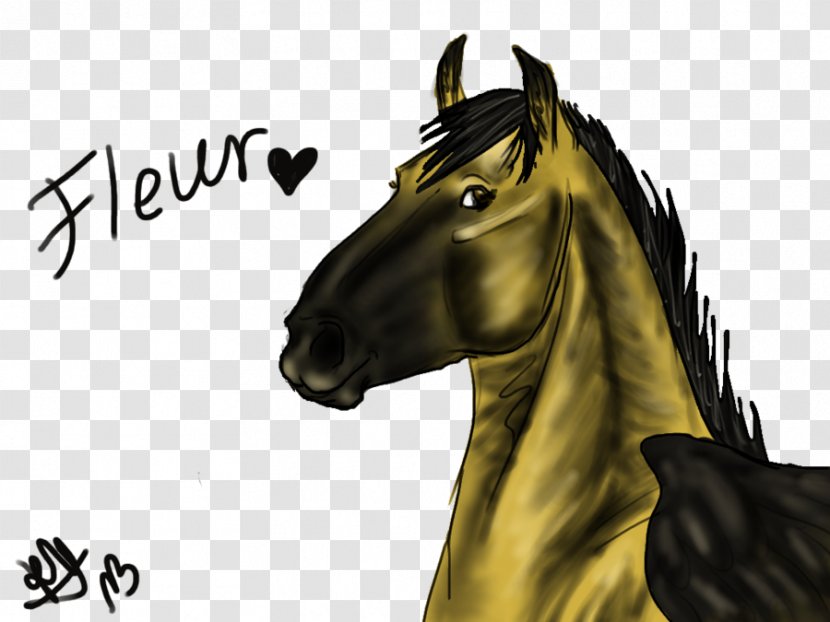Pony Mane Mustang Art Stallion - Creative Artist Headshots Transparent PNG