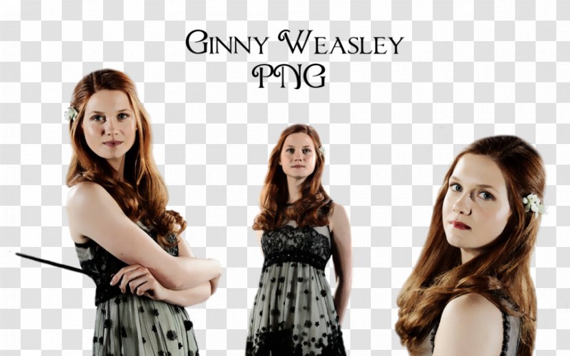Ginny Weasley Harry Potter Kingsley Shacklebolt Family - Cartoon Transparent PNG