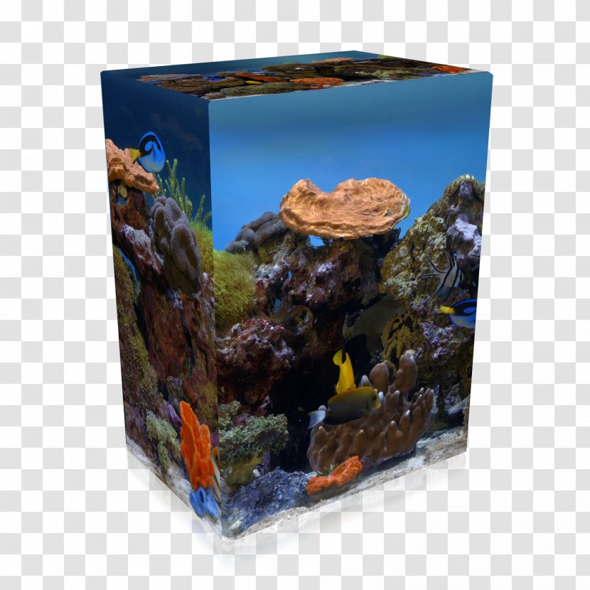 High Efficiency Video Coding Digital Blu-ray Disc 4K Resolution - Reef Aquarium Transparent PNG