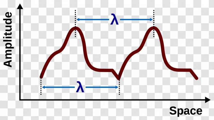 Sine Wave Wavelength Phase Velocity - Flower Transparent PNG