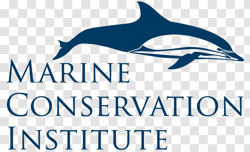 World Ocean Marine Conservation Institute Earth - Ecosystem - Honor Board Transparent PNG