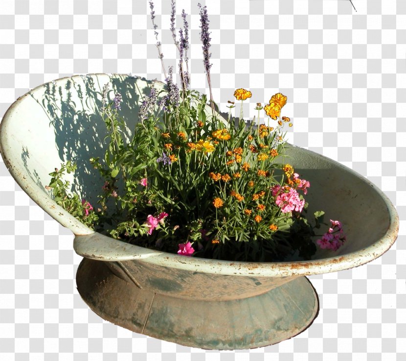 Ikebana Floral Design Herb Flowerpot Transparent PNG