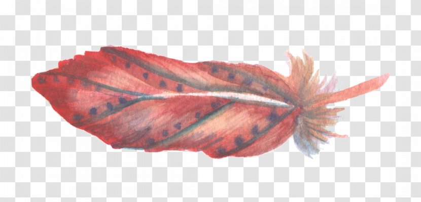Red Watercolor Painting Feather - Sen Department Of Fresh Transparent PNG