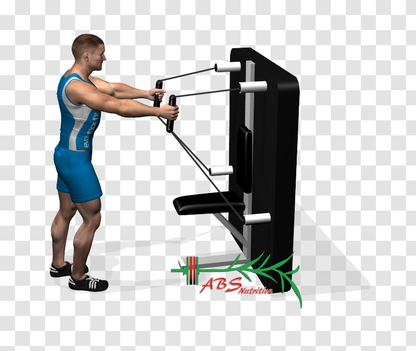 Cable Machine Pulley Standing Exercise - Arm - Disturbance Of Flies While Transparent PNG